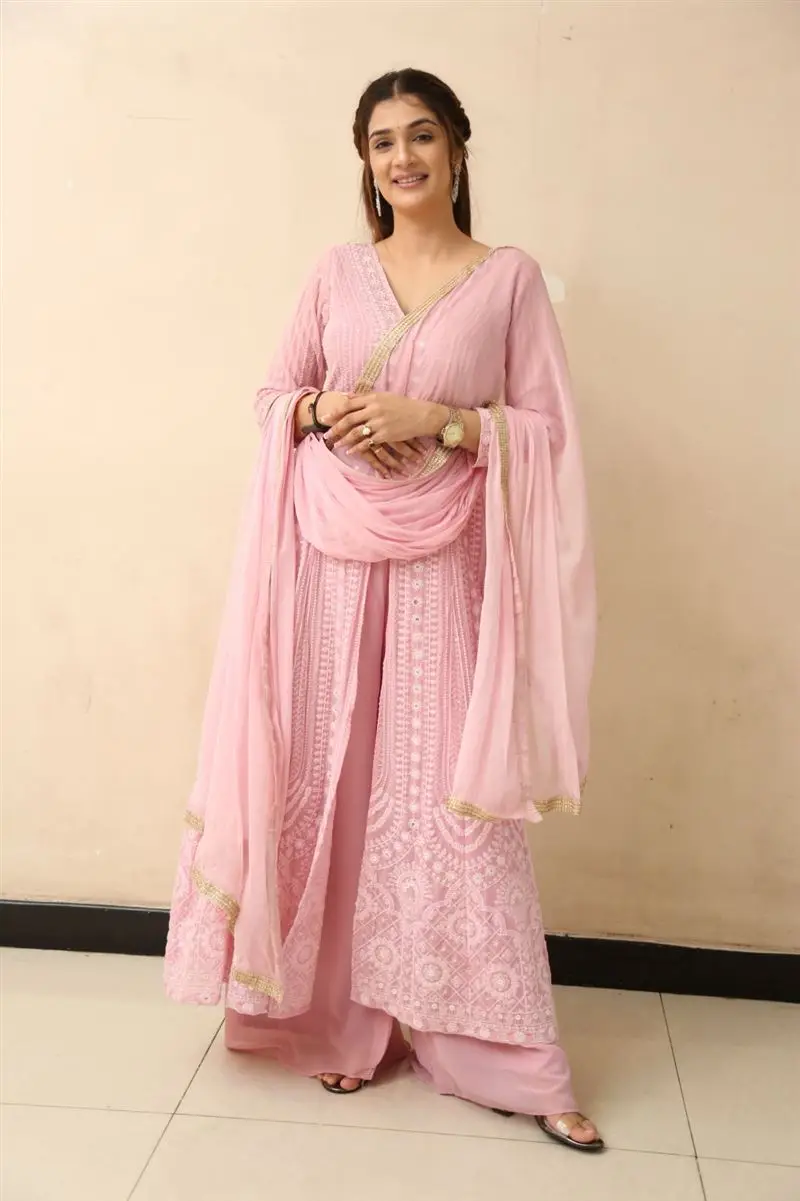 Telugu Actress Hasini Sudhir In Beautiful Pink Gown